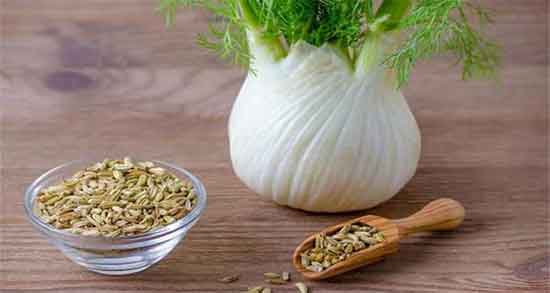 نام دیگر رازیانه ؛ اسم دیگر رازیانه چیست + ایا بادیان همان رازیانه است