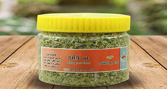 نام دیگر سداب چیست ؛ اسم دیگر سداب چیست + خواص سداب تازه