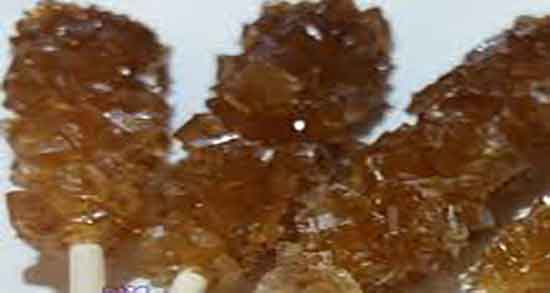 نبات سوخته برای دل درد و فواید مصرف نبات سوخته برای تورم روده نوزادان نبات سوخته برای دل درد ؛ فواید مصرف نبات سوخته برای تورم روده نوزادان