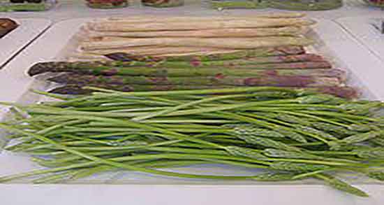 نحوه مصرف مارچوبه کنسرو ؛ دستور مصرف کنسرو مارچوبه برای کم خونی