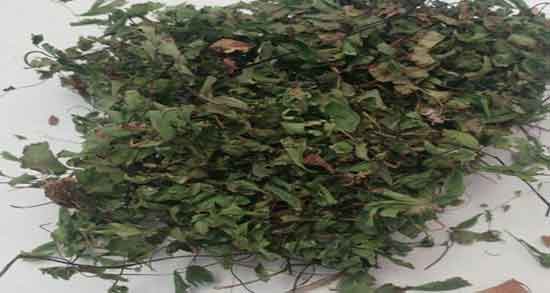 پرسیاوشان و یبوست ؛ ایا خوردن روزانه پرسیاوشان برای یبوست شدید خوبه
