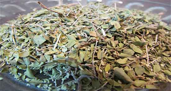 چای آویشن برای کودکان ؛ ایا خوردن چای اویشن برای اطفال مفید است