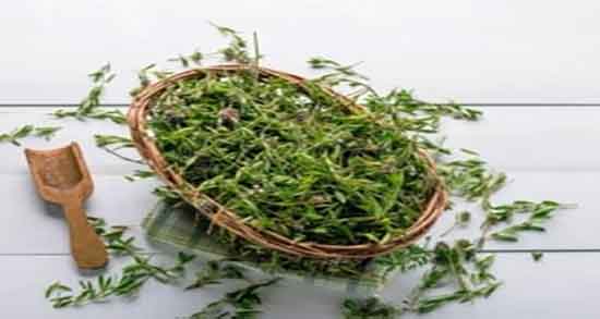 چای آویشن برای گلودرد ؛ درمان عفونت گلو با مصرف روزانه چای اویشن