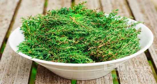 چای آویشن و سرماخوردگی ؛ خاصیت مصرف چای آویشن برای گلو درد