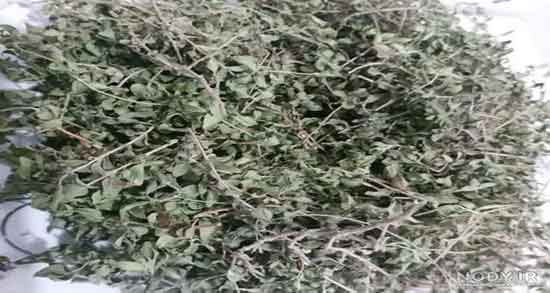 چای آویشن و عناب ؛ ترکیب مفیده چای اویشن و عناب تازه برای پوست