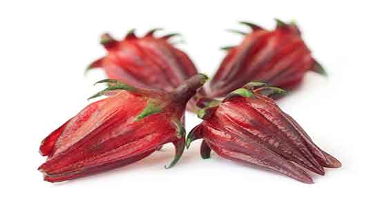چای قرمز و لاغری ؛ ایا مصرف چای قرمز برای چربی سوزی مفید است