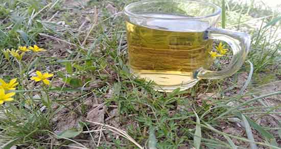 چای پونه برای عفونت واژن ؛ تاثیر مصرف چای پونه برای عفونت واژن زنان