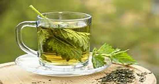 چای پونه برای گلو درد ؛ بهترین زمان مصرف چای پونه برای گرفتگی صدا
