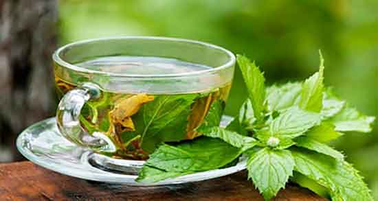 چای پونه و قاعدگی ؛ مصرف آویشن و چای پونه در دوران قاعدگی زنان