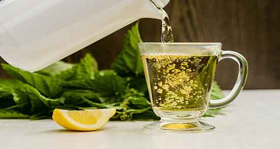 چای گزنه برای دیابت ؛ خاصیت چای گزنه برای کنترل قند خون کودکان