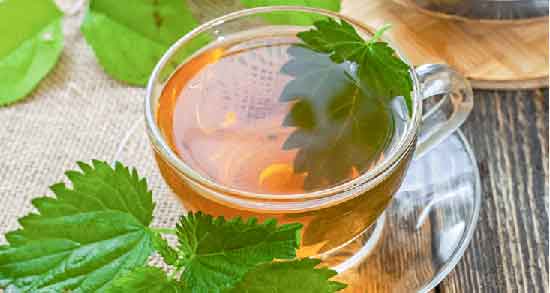چای گزنه برای پروستات ؛ خاصیت مصرف چای گزنه برای پروستات اقایان