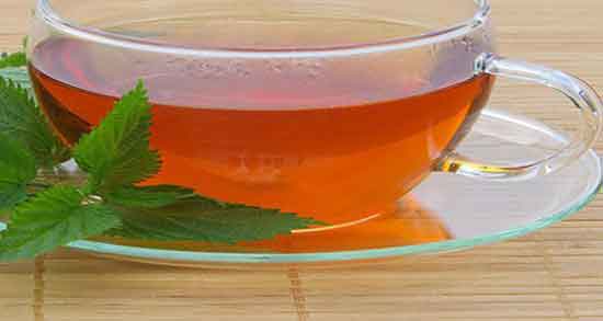 چای گزنه برای کم خونی ؛ فواید مصرف چای گزنه برای کم خونی کودکان