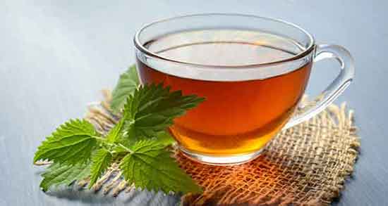 چای گزنه و برگ زیتون کیسه ای نیوشا ؛ چای گزنه و برگ زیتون بسته بندی