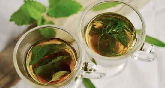 چای گزنه و خواص آن ؛ فواید مصرف چای گزنه و خواص آن برای کلیه