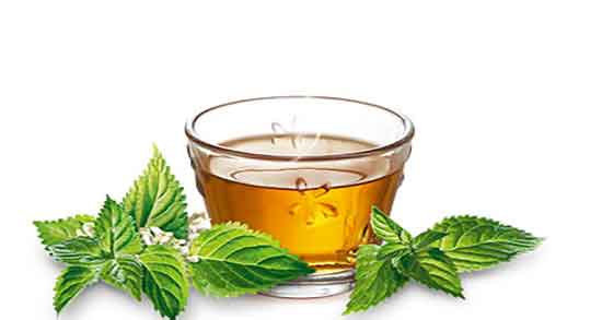 چای گزنه و فشار خون ؛ خاصیت چای گزنه برای کنترل فشار خون زنان