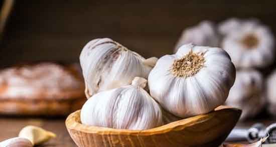 چگونه آب سیر را بگیریم ؛ طریقه گرفتن اب سیر تازه با دستگاه ابمیوه گیری