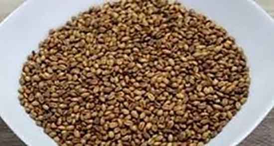 چگونه گندمک درست کنیم ؛ چگونه میتوان گندمک خانگی درست کرد