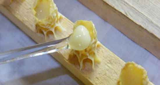 ژل رویال برای کودکان ؛ مقدار مصرف ژل رویال برای کودکان چقدر است