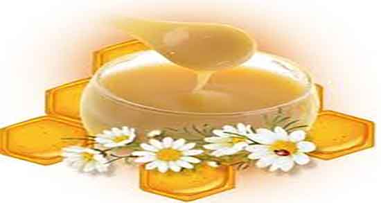 ژل رویال چیست ؛ خاصیت مصرف ژل رویال چیست و چگونه تهیه میشود