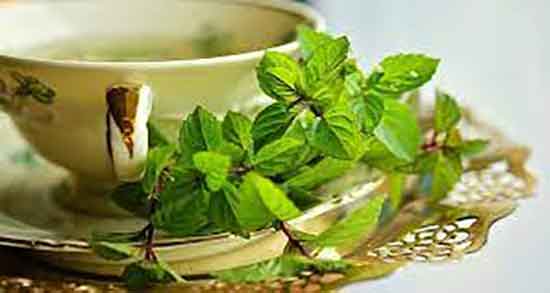 کالری دمنوش ریحان ؛ میزان کالری یک لیوان دمنوش ریحان برای بدن چقدره