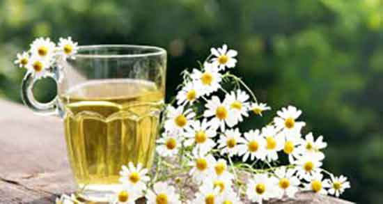 کالری عرق بابونه ؛ میزان کالری یک لیوان عرق بابونه برای بدن چقدر است
