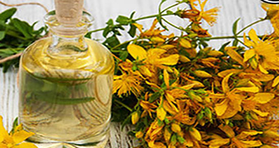 کالری علف چای ؛ میزان کالری یک لیوان علف چای برای بدن چقدر است