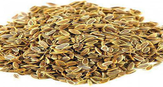 کالری میتخم ؛ میزان کالری یک پیمانه میتخم برای بدن چقدر است