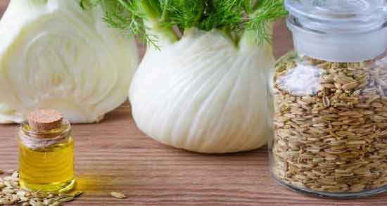 کیا قبل بارداری رازیانه خوردن ؛ تاثیر خوردن رازیانه برای باردار شدن