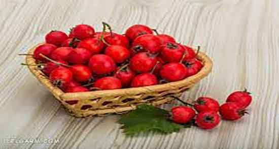 کیالک برای زن باردار خوبه ؛ خاصیت مصرف کیالک برای زن باردار چیه