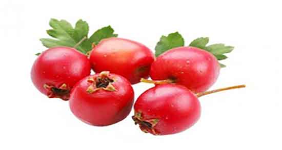 کیالک و خواص آن ؛ خاصیت مصرف کیالک برای درمان چربی سوزی