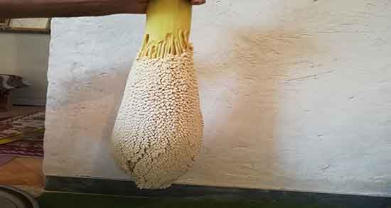 گرده نخل برای دو قلوزایی ؛ خاصیت مصرف گرده نخل برای دو قلوزایی