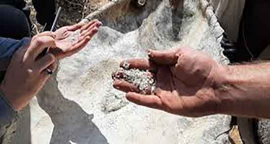 گزانگبین در شیردهی ؛ فواید مصرف گزانگبین برای افزایش شیر مادران