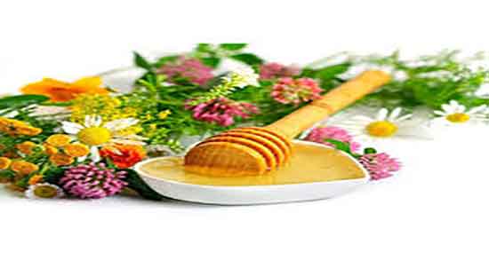 گزانگبین چیه ؛ فواید گزانگبین چیست + مصرف روزانه گزانگبین برای زنان