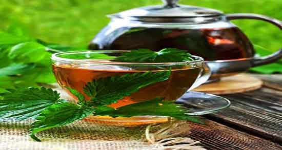 گزنه برای دفع پروتئین ؛ ایا گیاه گزنه برای دفع پروتئین بدن مفید است