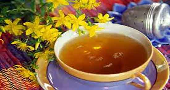 گل راعی در طب سنتی ؛ خاصیت و عوارض گل راعی از نظر طب سنتی