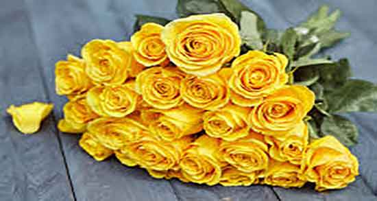 گل زرد برای پس زمینه ؛ ایا گذاشتن گل زرد بر روی پس زمینه گوشی خوبه