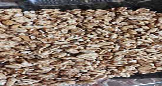 گندمک برای چاقی ؛ خاصیت مصرف گندمک برای چاقی صورت و بدن