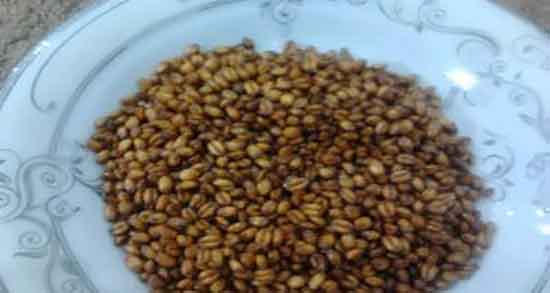 گندمک و لاغری ؛ خاصیت مصرف گندمک برای لاغری شکم و پهلو
