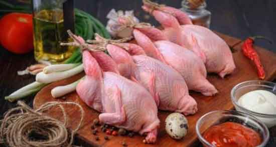 گوشت کبوتر برای زن باردار ؛ خواص و مضرات خوردن گوشت کبوتر در بارداری