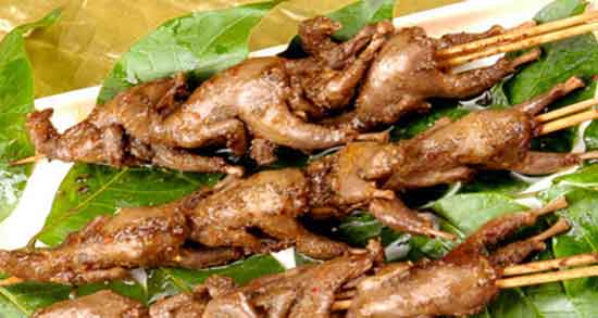 گوشت کبوتر برای چی خوبه ؛ برای درمان کدام بیماری گوشت کبوتر مفید است