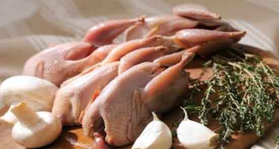 گوشت کبوتر برای کرونا ؛ خواص و مضرات خوردن گوشت کبوتر برای بیماری کرونا