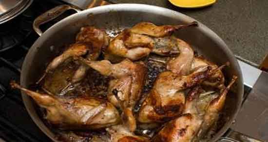 گوشت کبوتر برای کودک یک ساله ؛ فواید و مضرات استفاده از گوشت کبوتر برای کودک