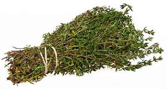 گیاه آذربه چیست ؛ خاصیت و عوارض گیاه اذربه برای بدن چیست