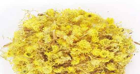 گیاه افسنطین شیرین ؛ خاصیت گیاه افسنطین شیرین در زمین های کشاوزی