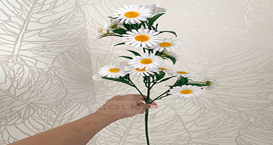 گیاه بابونه برای چی خوبه ؛ خاصیت مصرف گیاه بابونه برای سرماخوردگی