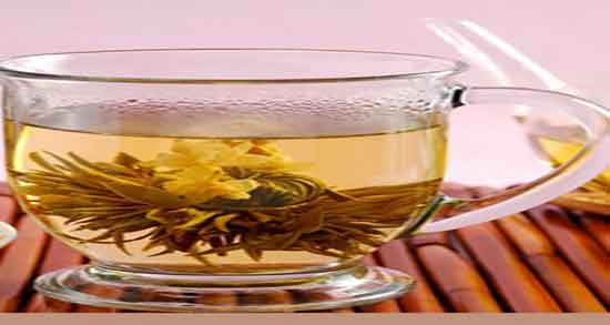 گیاه رویبوس چیست ؛ دمنوش گیاهی رویبوس چیست و چه خواصی دارد