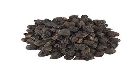 گیاه سپستان در طب سنتی ؛ عوارض گیاه سپستان از نظر طب سنتی