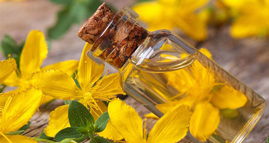 گیاه علف چای ؛ گیاه علف چای جایگزینی مناسب برای قرص فلوکستین