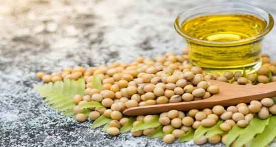 خواص روغن سویا چیست ؛ کاربرد روغن سویا در صنعت غذایی چیه