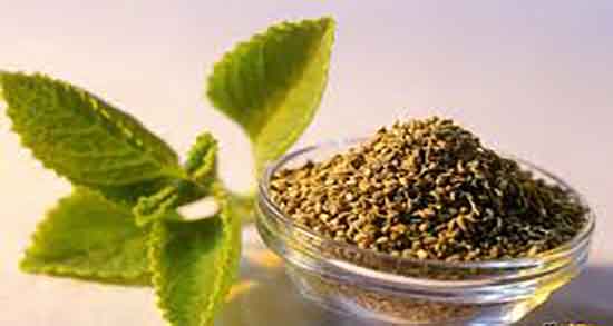 زنیان و ترک اعتیاد ؛ خاصیت استفاده از زنیان برای ترک اعتیاد اقایان